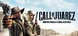 Скачать Call of Juarez Bound in Blood игру на ПК бесплатно через торрент