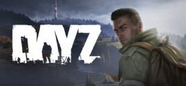 Скачать DayZ игру на ПК бесплатно через торрент