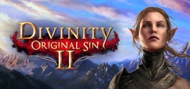 Скачать Divinity: Original Sin 2 игру на ПК бесплатно через торрент