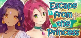 Скачать Escape from the Princess игру на ПК бесплатно через торрент