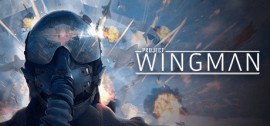 Скачать Project Wingman игру на ПК бесплатно через торрент