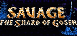 Скачать SAVAGE: The Shard of Gosen игру на ПК бесплатно через торрент