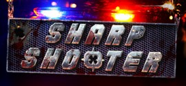 Скачать SharpShooter3D игру на ПК бесплатно через торрент