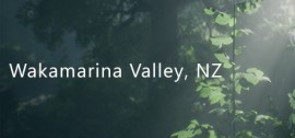 Скачать Wakamarina Valley, New Zealand игру на ПК бесплатно через торрент