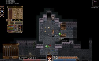 играть в Dungeons of Dredmor без регистрации