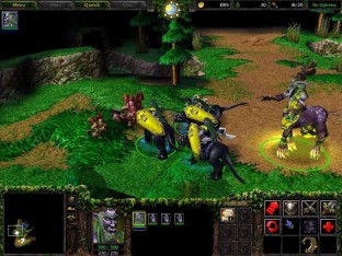 торрент игры Warcraft 3 Reign of Chaos на компьютер