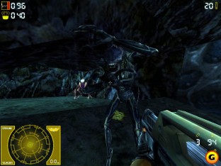 играть в Aliens versus Predator 2 Primal Hunt без регистрации