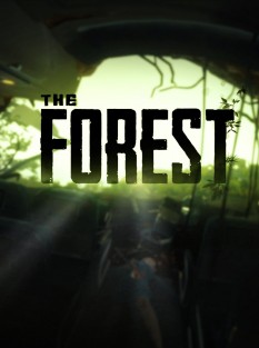 скачать игру The Forest бесплатно на ПК