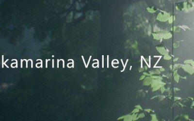 Wakamarina Valley, New Zealand